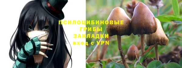 дурь Зеленодольск
